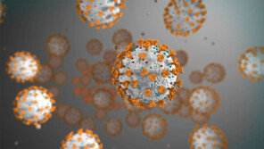 해외유입 바이러스서 변이 3건 발견…“지역발생 GH·해외발 GR 다수”
