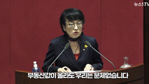 4주택 김진애 “왜 다주택자 적대시해…노영민이 과했어”