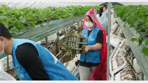 선문대, 수해복구 지원 나서