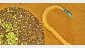 폭우에 떠내려온 대청댐 쓰레기 청소