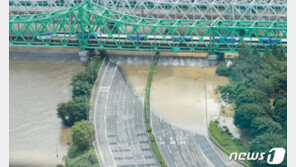 서울 폭우로 올림픽대로 여의하류 나들목도 통제