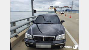 인천대교서 50대 남성 투신…해경 이틀째 수색중