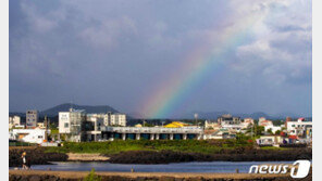 ‘한국날씨’도 미국·노르웨이 앱 찾다니…“기상청보다 낫네”