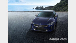 기아차, ‘스팅어 마이스터’ 내·외장 공개… 이달 말 출시