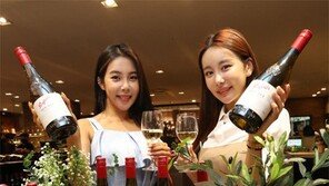 호주 대표 와인 ‘펜폴즈 빈 311 샤르도네’ 첫 선
