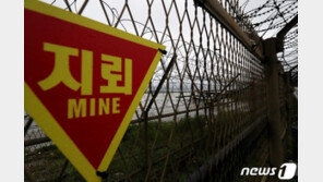 철원 등 北접경지역서 유실된 발목지뢰 5발 발견…총 8발 수거