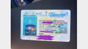 “내가 의자인가요?”…운전면허증에 빈 의자 사진 ’황당’