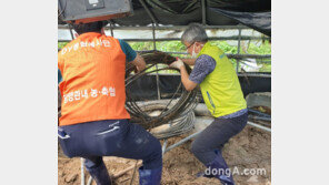 [포토]농협 임직원, 수해복구 현장서 구슬땀… 안양소년원에 코로나19 먹거리 지원