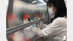 “곧 말복인데…닭고기 먹을 때 위생준칙 지키고 잘 익혀 먹어야”