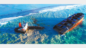 모리셔스 좌초 日화물선 두 동강…기름유출 확산 ‘최악 상황’ 현실로