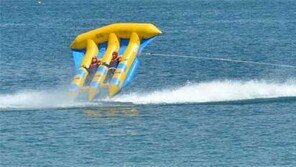 “더위야 물러가라”