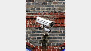 고슴도치형 CCTV[고양이 눈]