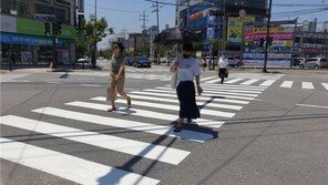“韓, 10만 명당 보행 중 사망자 2.5명…OECD 평균 2.5배”