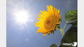 장마 끝나고 불볕더위 계속된다 …“‘대프리카’ 19일 39도까지”