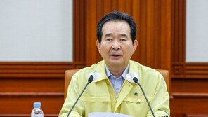 丁총리 “지금이 가장 위험한 잠복기…의심시 꼭 검사받아야”