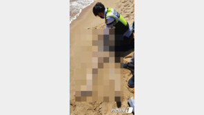 강원 속초 해안서 50~60대 추정 여성 변사체 발견