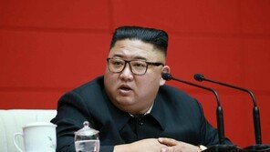 美 “北, 최대 60개 핵무기·서울 시민 5만 명 사망 가능 탄저균 보유”