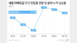 올해 벌써 32%나 오른 세종 아파트값 ‘10억 클럽’ 눈앞