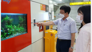 만수역에 ‘스마트 수족관’ 설치