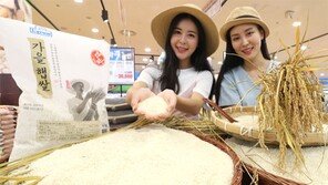 “올해 첫 햅쌀 나왔어요”