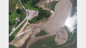 충주호 뒤덮은 부유물