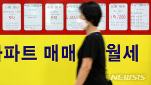 “비싼 몸, 아파트 대신”…다세대·연립에 ‘부동산 광풍’