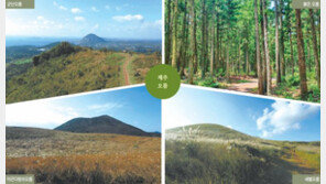 여기가 ‘풍경 맛집’이네… 오름 따라 걸으며 제주 속살 감상