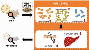 밀가루 과다섭취 ‘마른 비만’ 초래…‘대사성 질환’ 유발