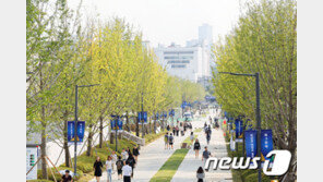 연세대 2학기 중간고사까지 전면 온라인수업…모든 과목 절대평가