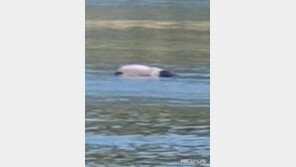 진주 천수교 아래 남강서 시신 떠올라…경찰 수사