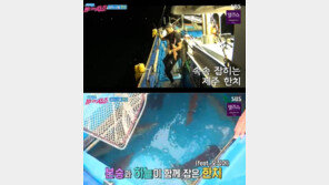 ‘근래 큰일 겪은 형’ 이하늘, 이혼후 제주도서 농사짓고 살고 있었다