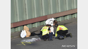 獨고속도로 폐쇄 초래 연쇄 추돌사고, 이슬람 극단주의자 공격