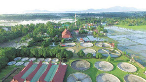 국내 장어양식장 투자로 월 100만원 수익