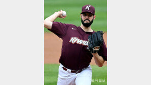 브리검 3승투… 키움, 선두 NC에 설욕