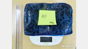 마약 밀반입하고 유통시킨 러시아 마피아 등 20여 명 검거