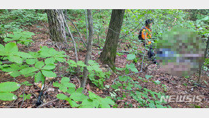 버섯 따러 산에 간 60대 남성…하룻만에 숨진 채 발견