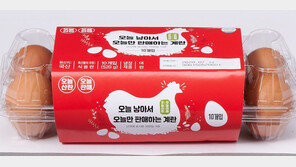 돼지-계란 이어 쌀-김도… 롯데마트 ‘초신선 전략’ 확대