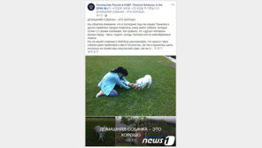 러 대사관, 北 ‘애완견 금지’ 보도에 “사실 아니다”