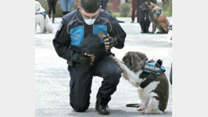 “이제 그만 은퇴합니다” 경찰견의 마지막 기도