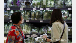 기록적인 장마에…상추 66% 배추 21% 농산물값 급등