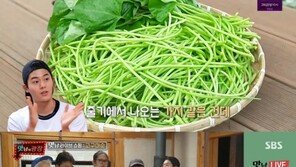 ‘맛남의 광장’ 농벤져스, 고구마순 라이브 쇼핑…시작과 동시에 ‘폭발적 반응’