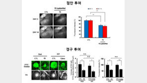 국민대 오상택 교수 팀, 투약 간편 황반변성 치료제 후보 물질 개발