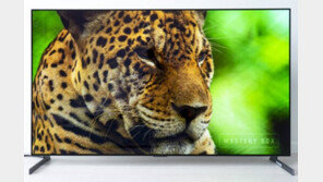 [리뷰] 두께 19.9mm에 OLED를 담다, LG 올레드 갤러리 65형