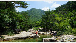‘신선별곡’ 들어오니 저만치 더위 물러가네