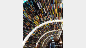 지성의 터널[고양이 눈]