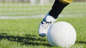 ‘해외연봉 33억’ 프로축구 선수…2심도 “소득세 9억내라”