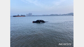 “차량이 왜 바다에 있어?”…화장실 간 사이 풍덩