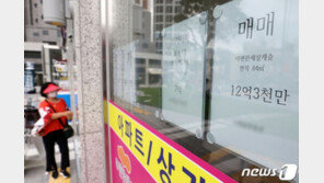 서울 외곽도 85㎡ 아파트 10억 원 돌파…꺾이지 않는 상승세