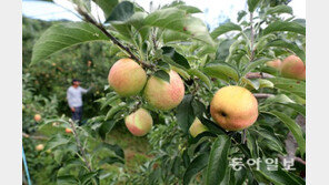 농민들 노후대책으로 주목받는 ‘농지연금’