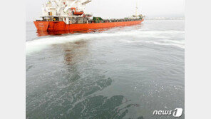 제주 앞바다에 경유 300ℓ 유출한 화물선 기관장 적발